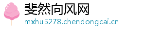 斐然向风网